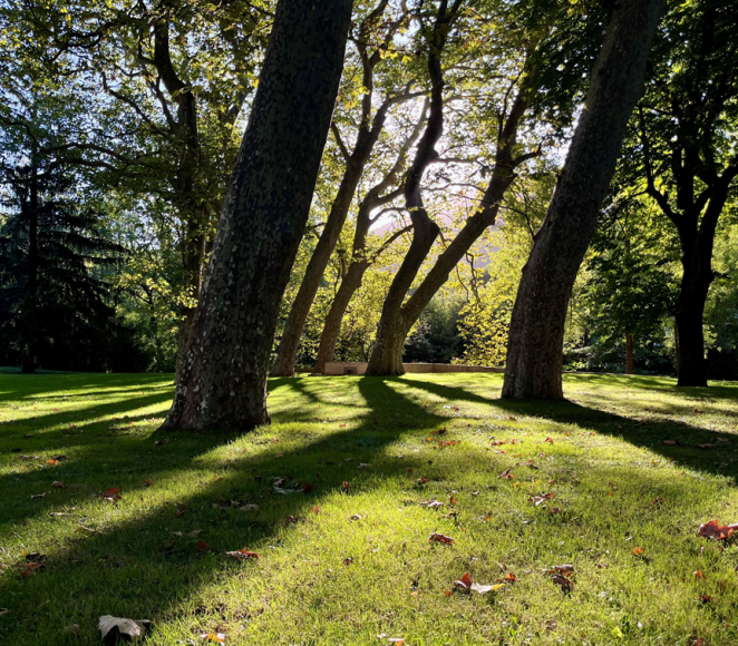 Parc Avène