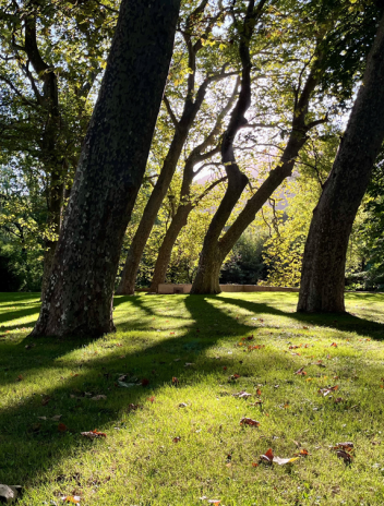 Parc Avène
