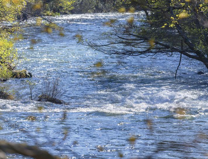 Image d'une rivière proche d'Avene